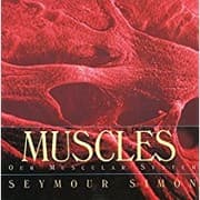 Tapa de Muscles Our Muscular System