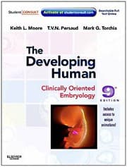 Tapa de The developing human