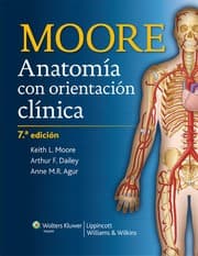 Tapa de Moore