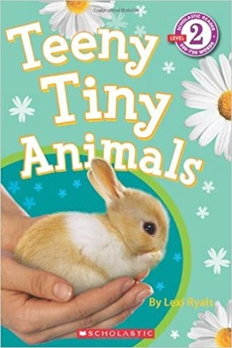 Tapa de Teeny Tiny Animals