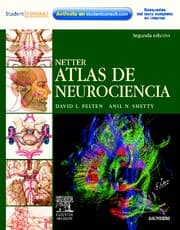 Tapa de Netter : atlas de neurociencia. - 2. ed.