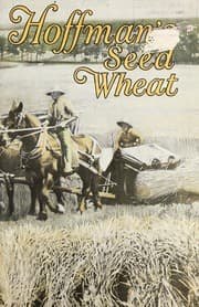 Tapa de Hoffman's seed wheat