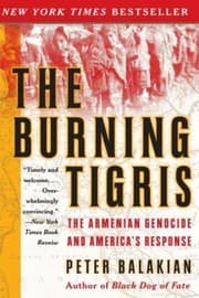 Tapa de The Burning Tigris