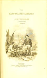 Tapa de [The natural history of British fishes]