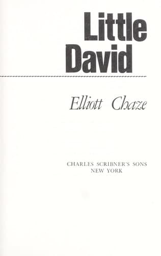 Tapa de Little David
