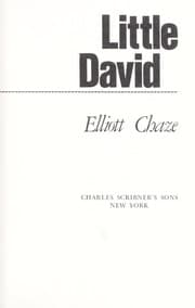 Tapa de Little David