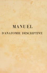 Tapa de Manuel d'anatomie descriptive du corps humain. Repr©♭sent©♭e en planches lithographi©♭es