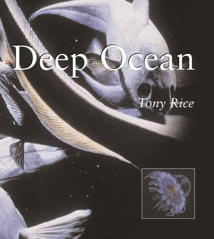 Tapa de DEEP OCEAN