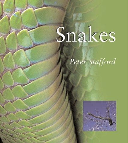 Tapa de SNAKES