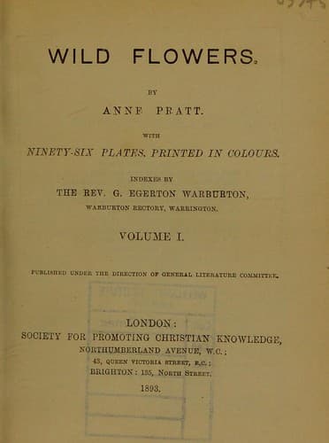 Tapa de Wild flowers