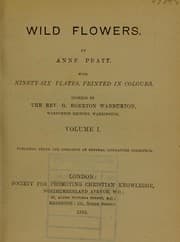 Tapa de Wild flowers