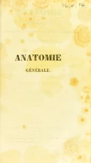 Tapa de Anatomie g©♭n©♭rale