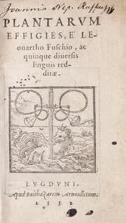 Tapa de Plantarum effigies