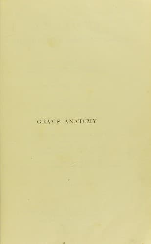 Tapa de Anatomy, descriptive and applied