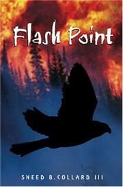 Tapa de Flash Point