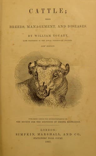 Tapa de Cattle