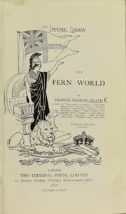 Tapa de The fern world