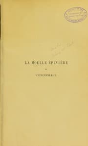 Tapa de La moelle ©♭pini©·re et l'enc©♭phale