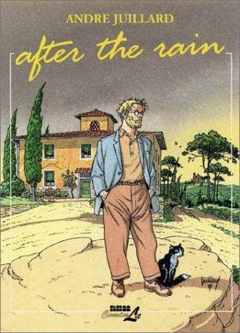 Tapa de After the Rain