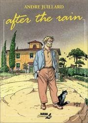 Tapa de After the Rain