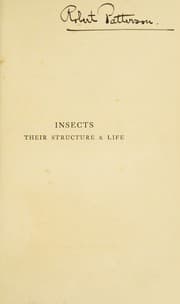 Tapa de Insects