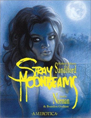 Tapa de Stray moonbeams