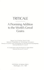 Tapa de Triticale: A Promising Addition to the World's Cereal Grain
