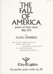 Tapa de The Fall of America