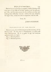Tapa de A supplementary letter on the identity of the species of the dog, wolf, and jackal