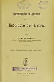 Tapa de Untersuchungen ©ơber den Leprabacillus und ©ơber die Histologie der Lepra