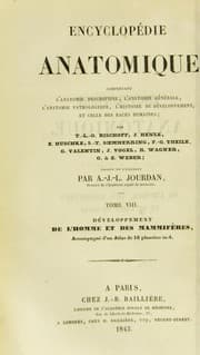 Tapa de Encyclop©♭die anatomique. Comprenant l'anatomie descriptive, l'anatomie g©♭n©♭rale, l'anatomie pathologique, l'histoire du d©♭veloppement, et celle des races humaines
