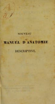 Tapa de Nouveau manuel d'anatomie descriptive, d'apr©·s les cours de MM. B©♭clard, B©♭rard ... Velpeau, etc
