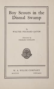Tapa de Boy scouts in the Dismal Swamp