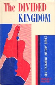 Tapa de The Divided Kingdom