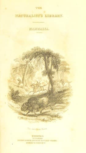Tapa de Mammalia