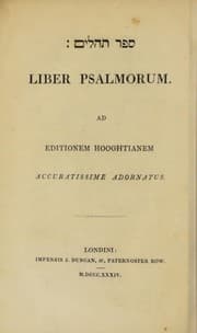 Tapa de [Sefer tehillim] = Liber psalmorum