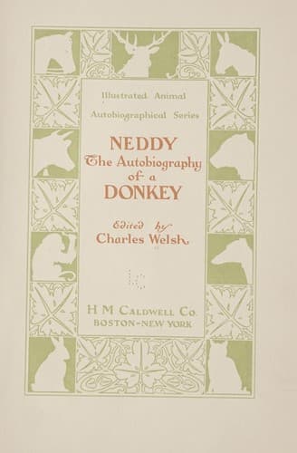 Tapa de Neddy