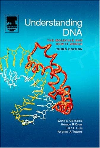 Tapa de Understanding DNA
