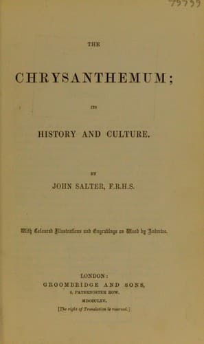 Tapa de The chrysanthemum