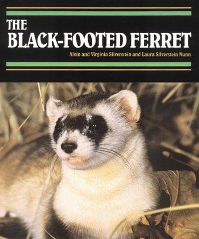 Tapa de The black-footed ferret