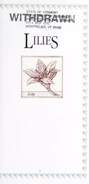 Tapa de Lilies