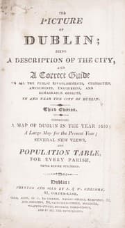 Tapa de The picture of Dublin