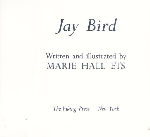 Tapa de Jay bird
