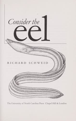 Tapa de Consider the eel
