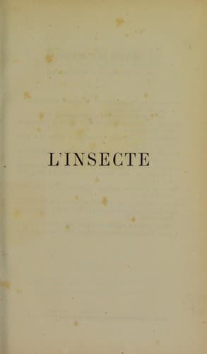 Tapa de L'insecte ...