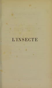 Tapa de L'insecte ...