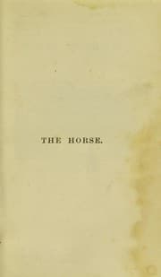Tapa de The horse
