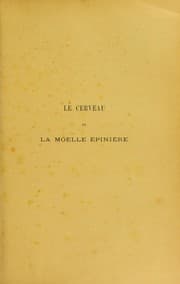 Tapa de Le cerveau et la moelle ©♭pini©·re