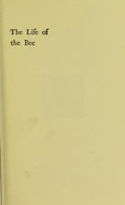Tapa de The life of the bee