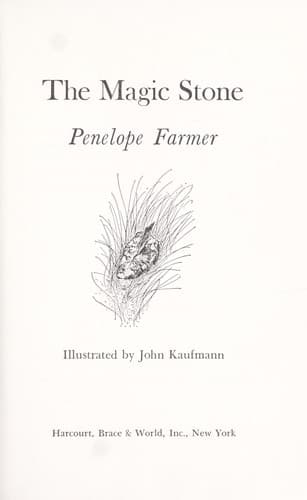 Tapa de The magic stone